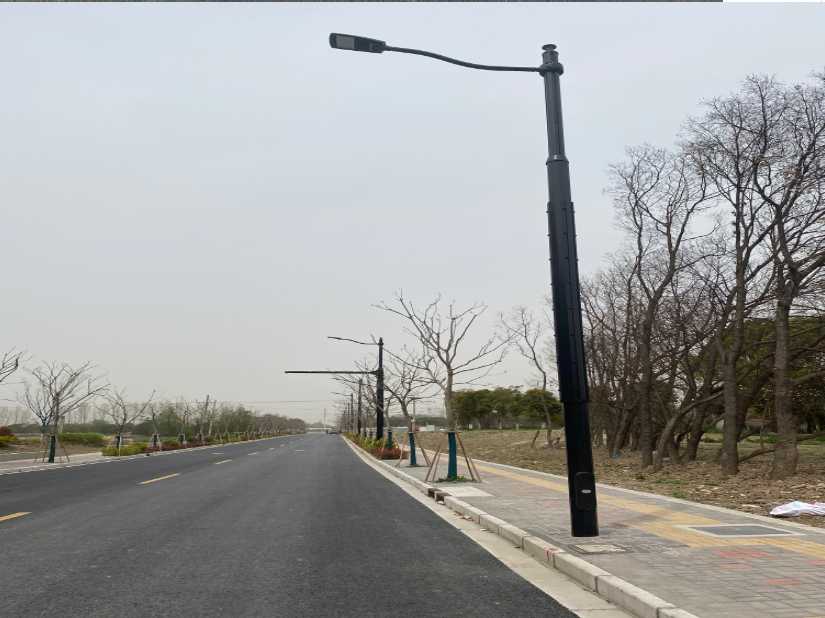 柳城县上海综合杆 太阳能路灯工程